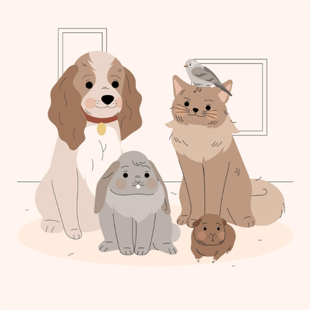 Pets